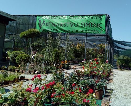 Sadna drevesa in jagodičevje